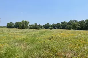 1010 Co Rd 490, Elgin, TX 78621 - Photo 10