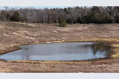 218 Little Ranch Road #E, Red Rock, TX 78662 - Photo 2