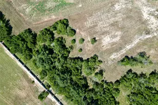 2149 Council Springs Pass, Leander, TX 78641 - Photo 6