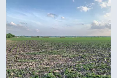 Tract 3 County Road 425, Thorndale, TX 76577 - Photo 8