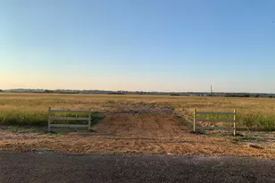 Tract 3 County Road 425, Thorndale, TX 76577 - Photo 1