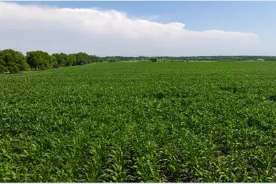 Tract 3 County Road 425, Thorndale, TX 76577 - Photo 26