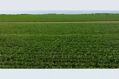 Tract 3 County Road 425, Thorndale, TX 76577 - Photo 28