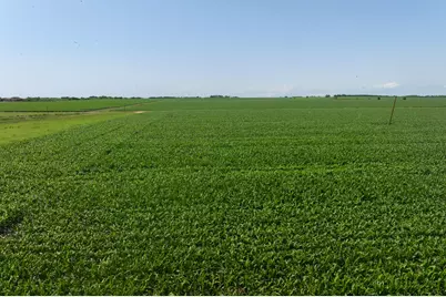 Tract 3 County Road 425, Thorndale, TX 76577 - Photo 26