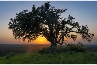 Lot 1 - 12.6 Acres - Round Mountain Reserve Drive, Round Mountain, TX 78663 - Photo 6