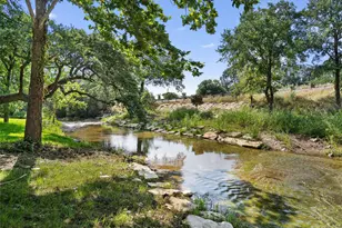 235 Little Gabriel River Dr, Liberty Hill, TX 78642 - Photo 4