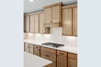 412 Pin Cherry Pass, San Marcos, TX 78666 - Photo 12