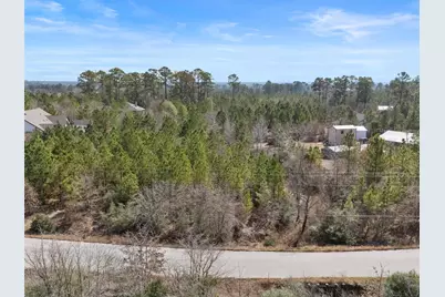 Tbd S. Bob White Street, Paige, TX 78659 - Photo 4