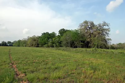 3223 Old Kelley Road, Lockhart, TX 78644 - Photo 8