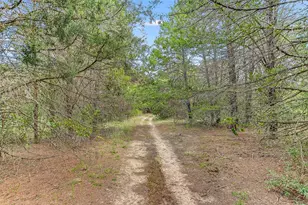 741 Knobbs Rd, McDade, TX 78650 - Photo 28