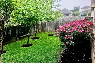 1817 Greyleaf Path, Round Rock, TX 78665 - Photo 26