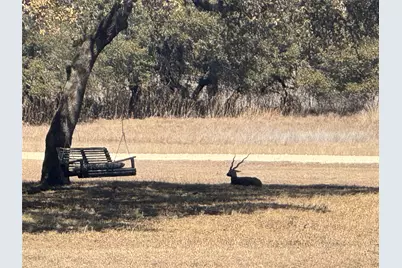 0 E Majestic Creek Drive #Lot 10, Blanco, TX 78606 - Photo 4