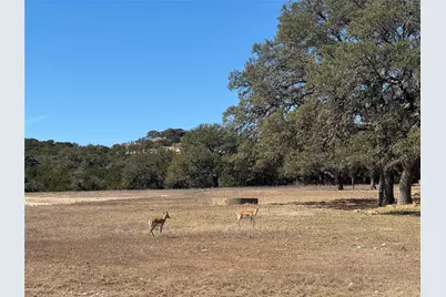 0 E Majestic Creek Drive #Lot 10, Blanco, TX 78606 - Photo 6