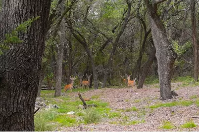 401 Mountain Crest Drive, Wimberley, TX 78676 - Photo 22