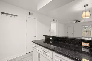 2020 S Congress Ave, Austin, TX 78704 - Photo 6