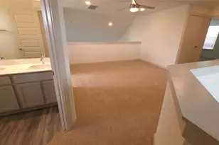 7517 Peggie Nell Dr, Austin, TX 78724 - Photo 14