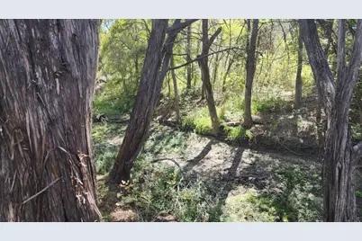 25615 Ronald W Reagan Boulevard, Georgetown, TX 78633 - Photo 6