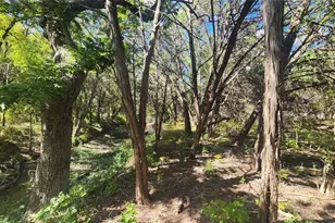 25615 Ronald W Reagan Blvd, Georgetown, TX 78633 - Photo 4