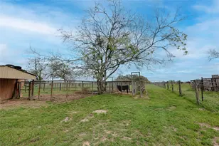 341 County Road 233 Rd, Hallettsville, TX 77964 - Photo 34