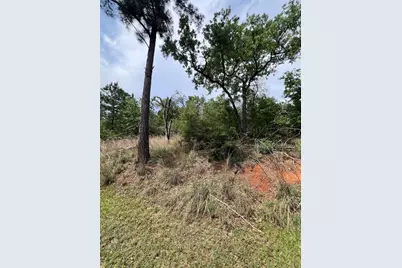 Tbd Monku Court, Bastrop, TX 78602 - Photo 4