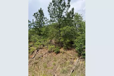 Tbd Monku Court, Bastrop, TX 78602 - Photo 10