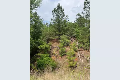 Tbd Monku Court, Bastrop, TX 78602 - Photo 12