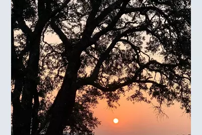 2012 Centerline Lane, Georgetown, TX 78628 - Photo 30