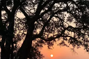 2012 Centerline Ln, Georgetown, TX 78628 - Photo 30