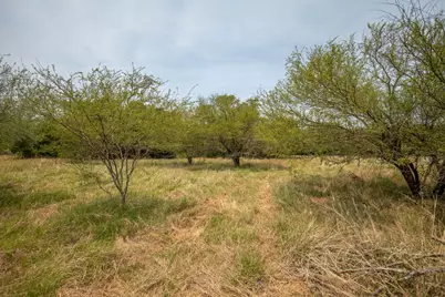 0 Green Dewitt Road, Cuero, TX 77954 - Photo 30