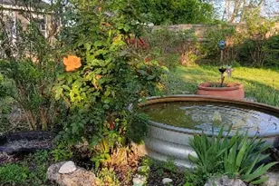 1524 Weyford Dr, Austin, TX 78757 - Photo 30