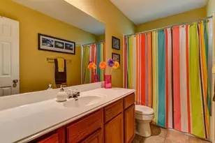 910 Wild Petunia Way, Pflugerville, TX 78660 - Photo 10