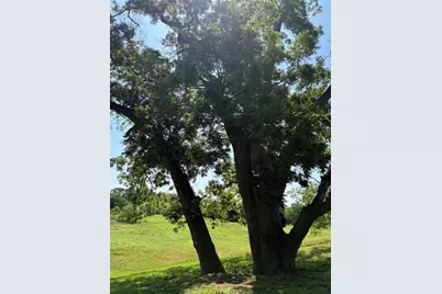 1411 Pecan Shores, Smithville, TX 78957 - Photo 14