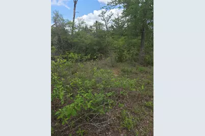 5345 Hwy 36, Milano, TX 76556 - Photo 4
