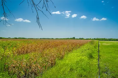 1750 Fm 1063, Taylor, TX 76574 - Photo 18