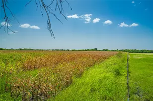 1750 Fm 1063, Taylor, TX 76574 - Photo 18