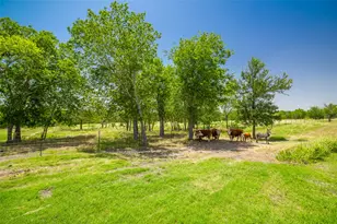 1750 Fm 1063, Taylor, TX 76574 - Photo 8