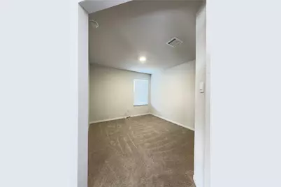 282 Texas Palmetto Circle, Kyle, TX 78640 - Photo 12