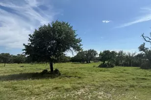 Tbd W 29 Hwy, Bertram, TX 78605 - Photo 1
