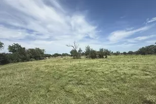 Tbd W 29 Hwy, Bertram, TX 78605 - Photo 6