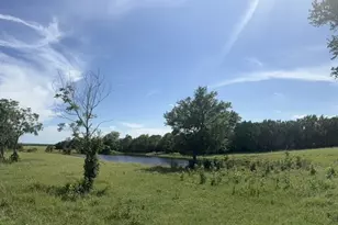 Tbd W 29 Hwy, Bertram, TX 78605 - Photo 12