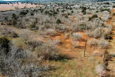 1648 Jeddo Road, Rosanky, TX 78953 - Photo 12