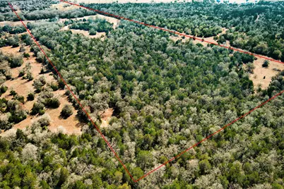 1648 Jeddo Road, Rosanky, TX 78953 - Photo 32