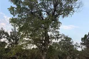 3831 Lakehurst Rd, Spicewood, TX 78669 - Photo 12