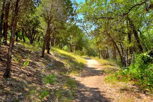 11524 Emerald Falls Dr, Austin, TX 78738 - Photo 36