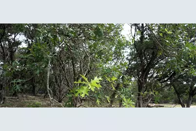 850 Days End Road, Wimberley, TX 78676 - Photo 16