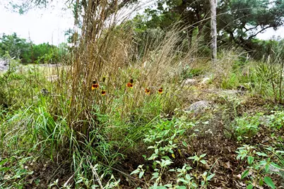 850 Days End Road, Wimberley, TX 78676 - Photo 12