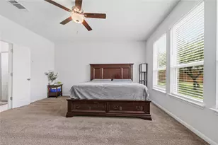 317 Barton Oak Trl, Georgetown, TX 78628 - Photo 28