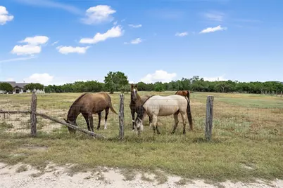 2400 W Fitzhugh Road, Dripping Springs, TX 78620 - Photo 28