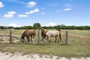 2400 W Fitzhugh Rd, Dripping Springs, TX 78620 - Photo 28