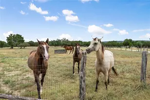 2400 W Fitzhugh Rd, Dripping Springs, TX 78620 - Photo 34